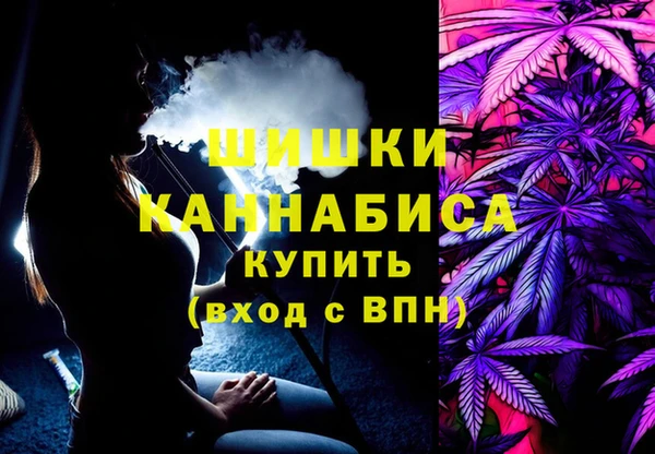 крисы Коряжма