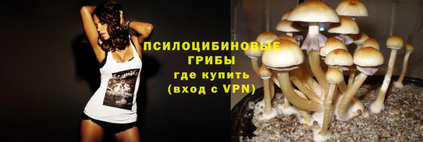 крисы Коряжма