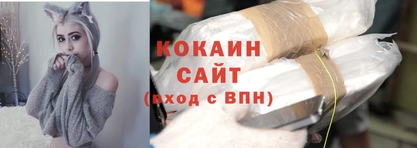 крисы Коряжма