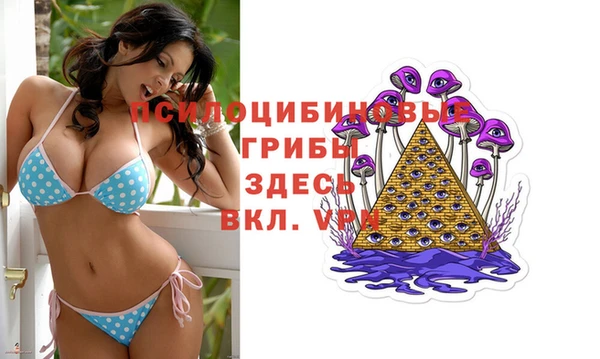 крисы Коряжма