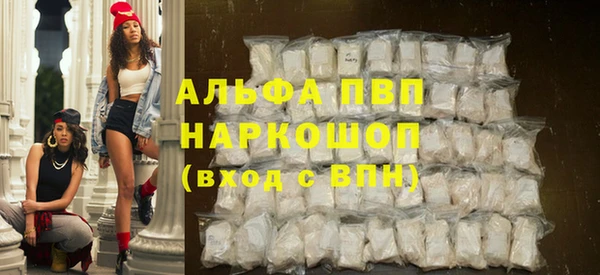 крисы Коряжма