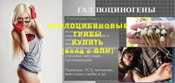 крисы Коряжма
