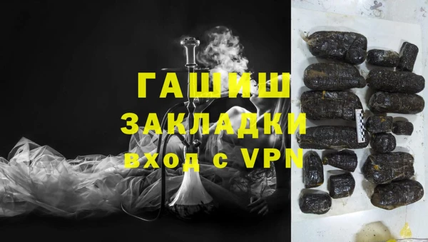 крисы Коряжма
