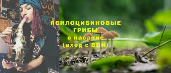 крисы Коряжма