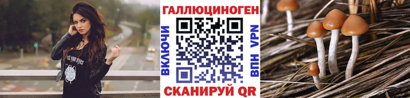 Купить  Среднеуральск  Галлюциногенные грибы GOLDEN TEACHER 
